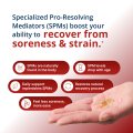 SPM Active® One Daily 3