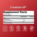 Creatine UP® 6