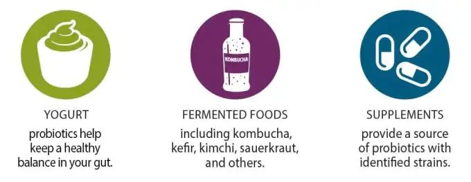Infographic explaining good sources of probiotics, like yoghurt, fermented foods and probiotic capsules