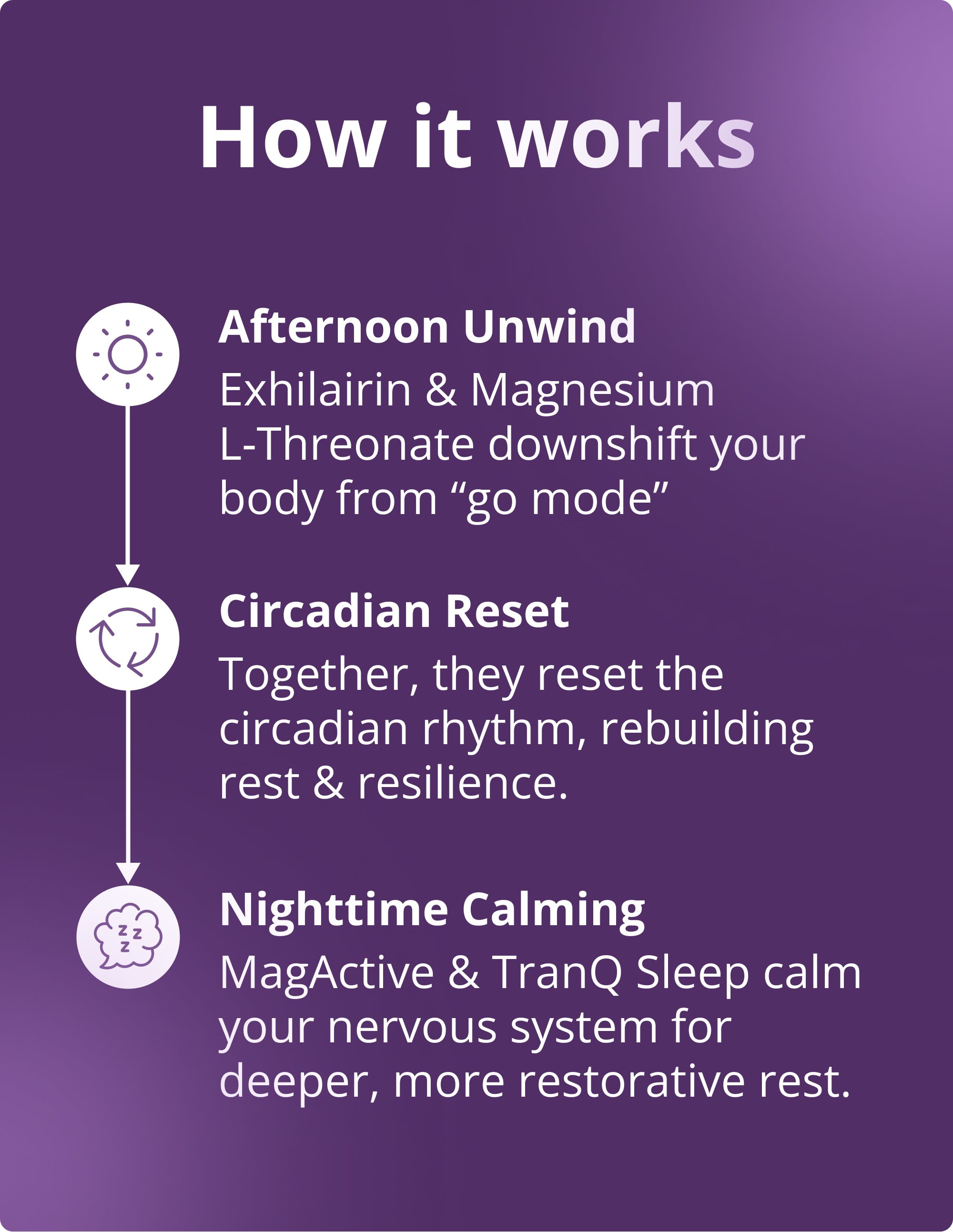 Content splash for the Metagenics Sleep Reset Bundle for Rhythm, Calm & Restoration featuring icons and short explanations of afternoon unwind, circadian reset, and nighttime calming.