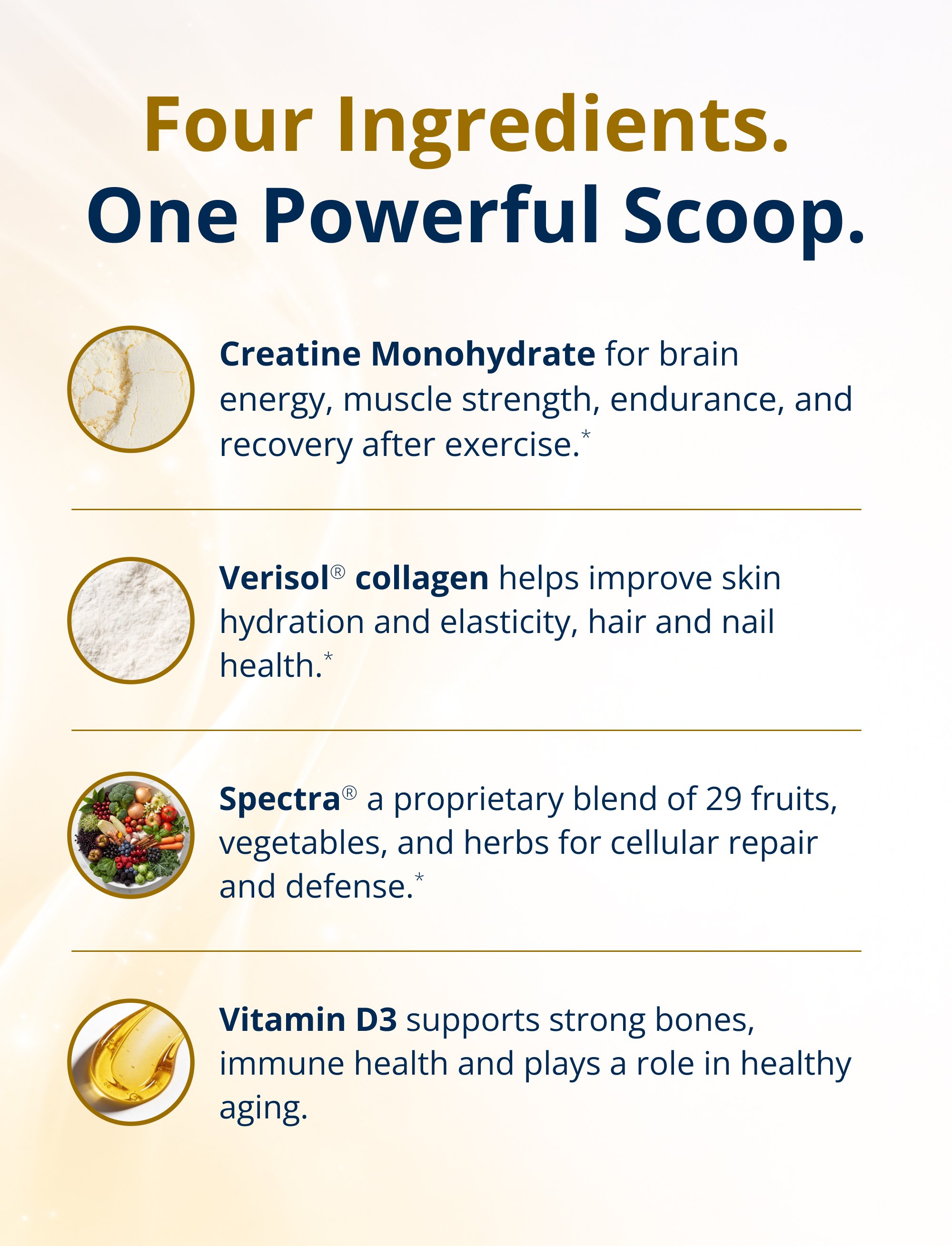 Text listing four key ingredients: creatine monohydrate for brain energy, muscle strength, endurance, and recovery; Verisol collagen for skin hydration, elasticity, hair, and nail health; Spectra antioxidant blend for cellular repair and health; and vitamin D3 for strong bones, immune health, and healthy aging.