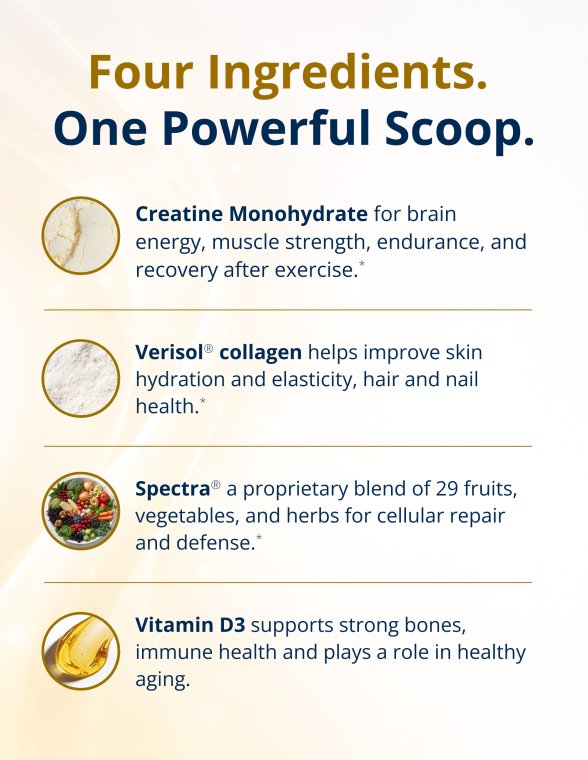 Text listing four key ingredients: creatine monohydrate for brain energy, muscle strength, endurance, and recovery; Verisol collagen for skin hydration, elasticity, hair, and nail health; Spectra antioxidant blend for cellular repair and health; and vitamin D3 for strong bones, immune health, and healthy aging.