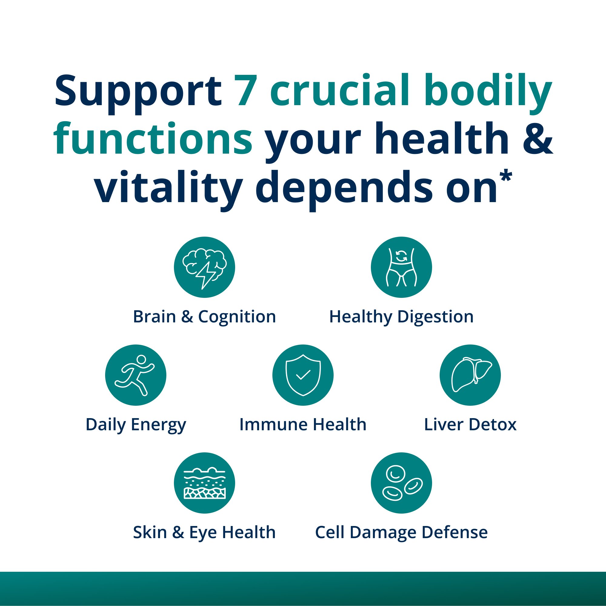PhytoMulti® Multivitamin 3