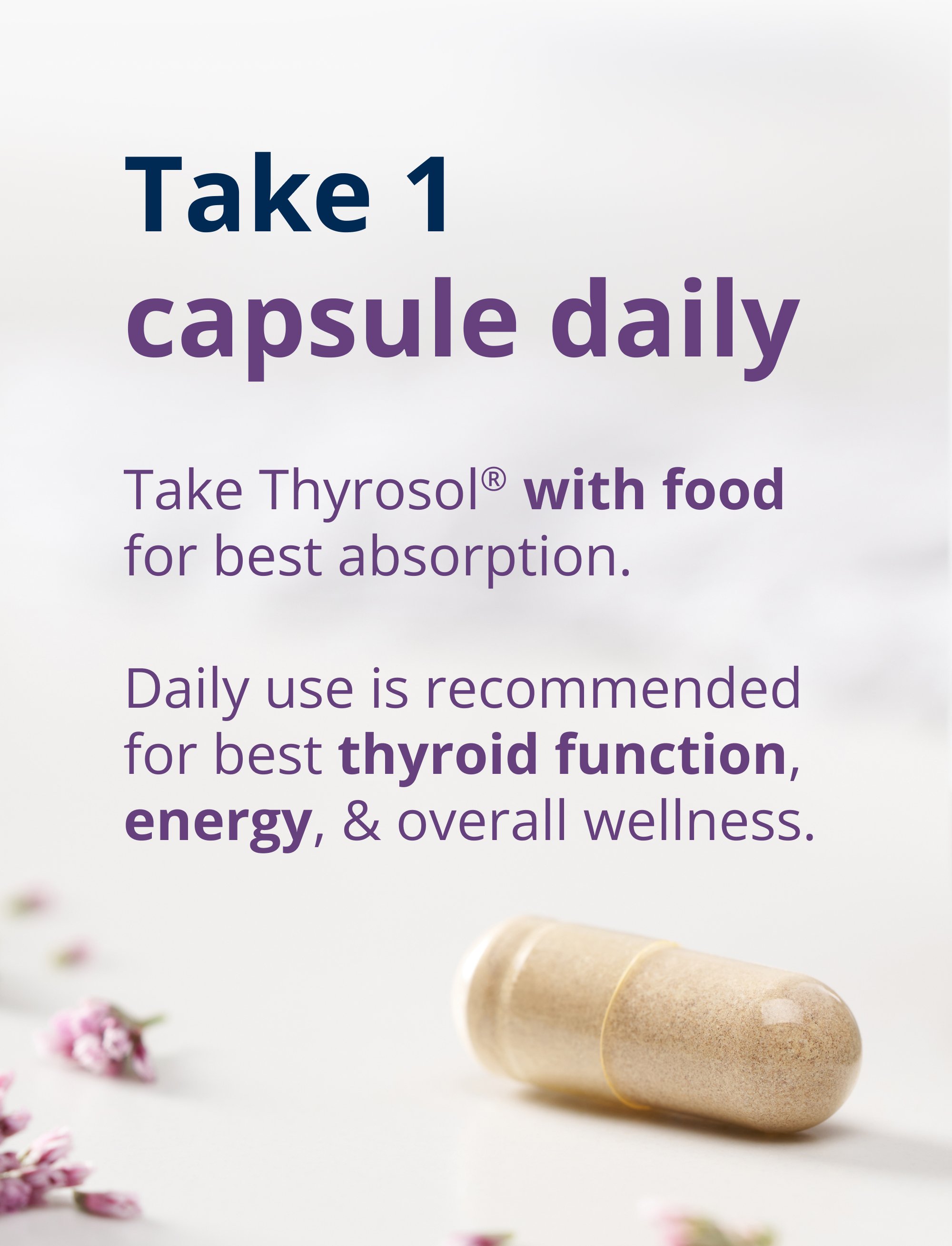 A single capsule on a light surface beside text instructing to take one Thyrosol capsule daily with food for best absorption and ongoing thyroid, energy, and wellness support.