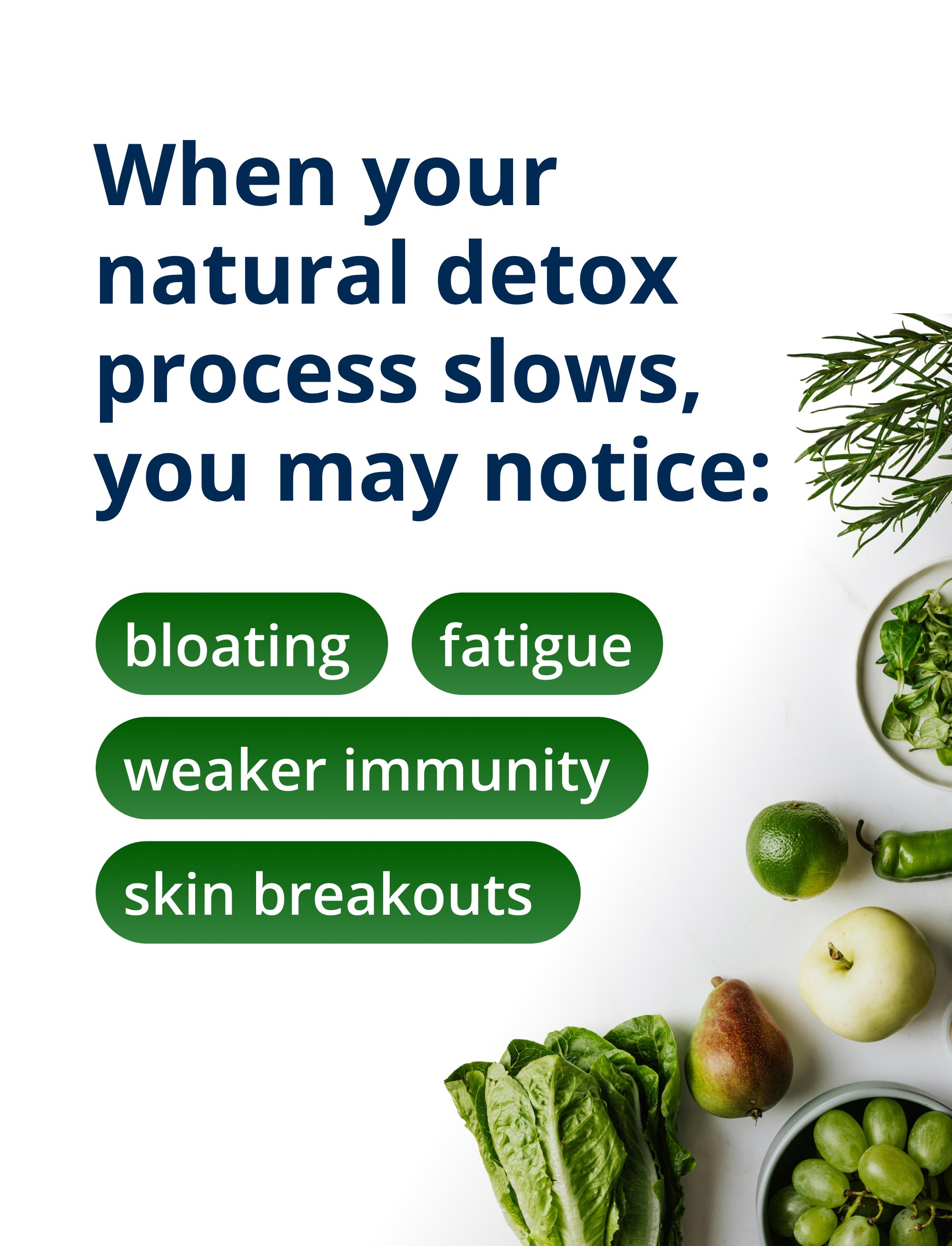 A clean white and green informational panel that reads, “When your natural detox process slows, you may notice:” followed by bullet points: bloating, fatigue, weaker immunity, and skin breakouts. Fresh green vegetables appear along the right side of the image to reinforce digestive wellness. The content explains symptoms associated with digestive imbalance and positions Metagenics CandiBactin-BR® as a supplement designed to support gut and detox pathways.