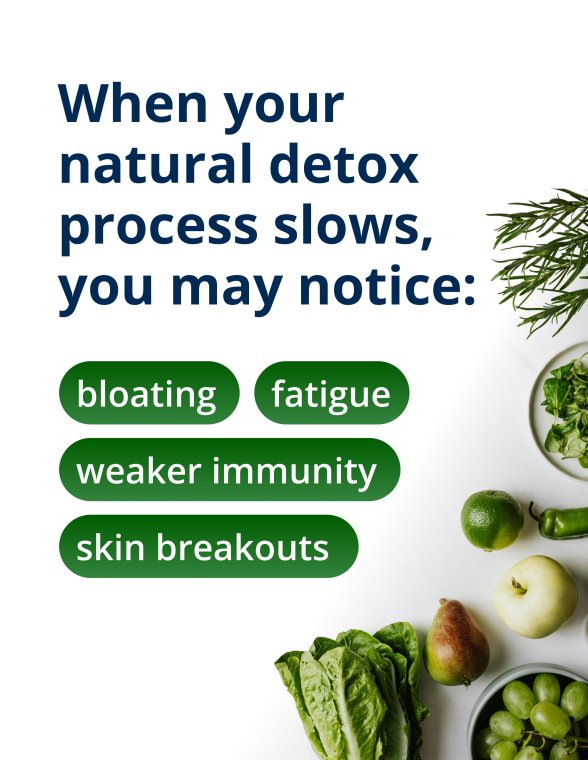 A clean white and green informational panel that reads, “When your natural detox process slows, you may notice:” followed by bullet points: bloating, fatigue, weaker immunity, and skin breakouts. Fresh green vegetables appear along the right side of the image to reinforce digestive wellness. The content explains symptoms associated with digestive imbalance and positions Metagenics CandiBactin-BR® as a supplement designed to support gut and detox pathways.