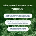 UltraFlora® Spectrum Probiotic 8