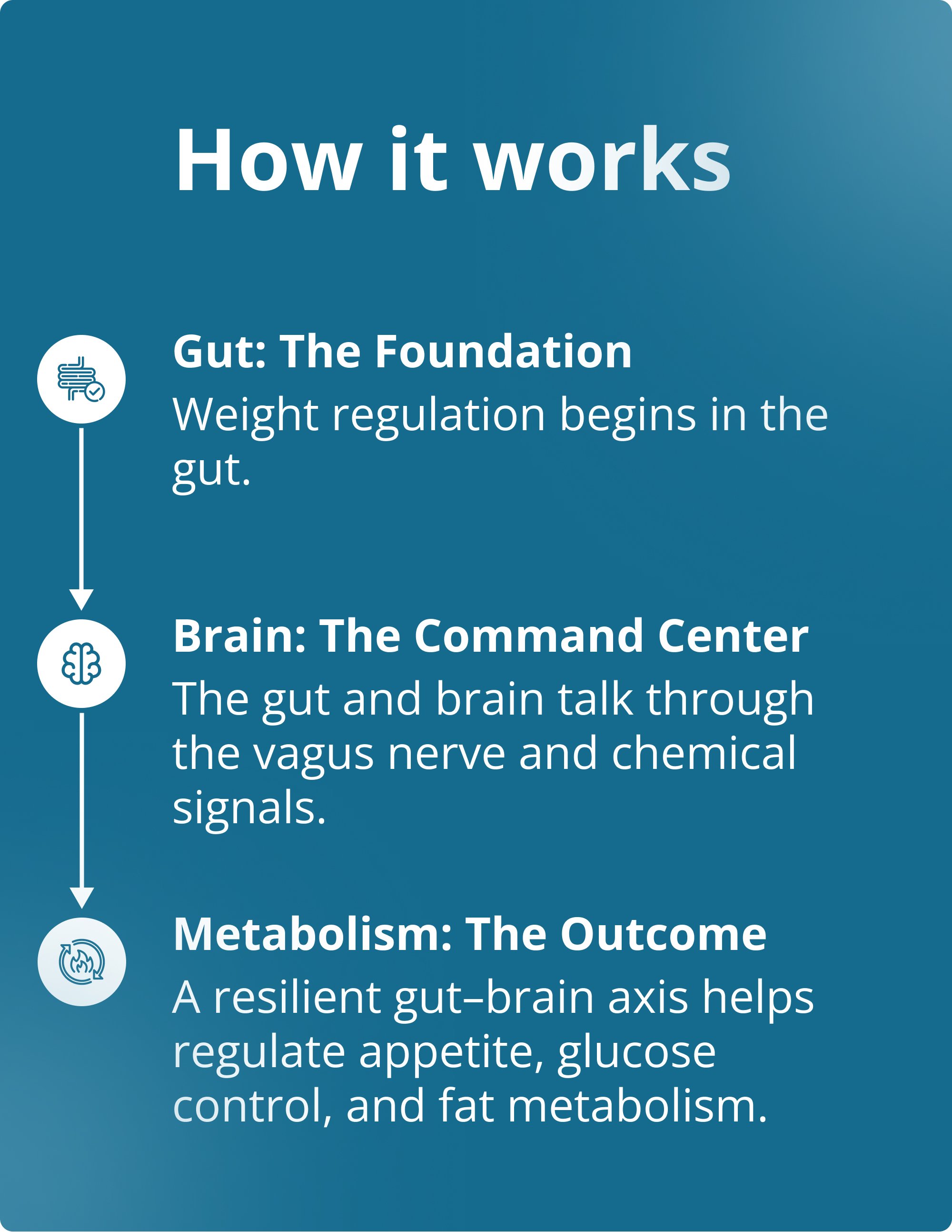 Content splash for the Metagenics Precision Weight & Hormone Balance for Men PracStack featuring three simple icons labeled gut, brain, and metabolism connected by arrows, with short explanations of how gut health influences brain signaling and metabolic outcomes.