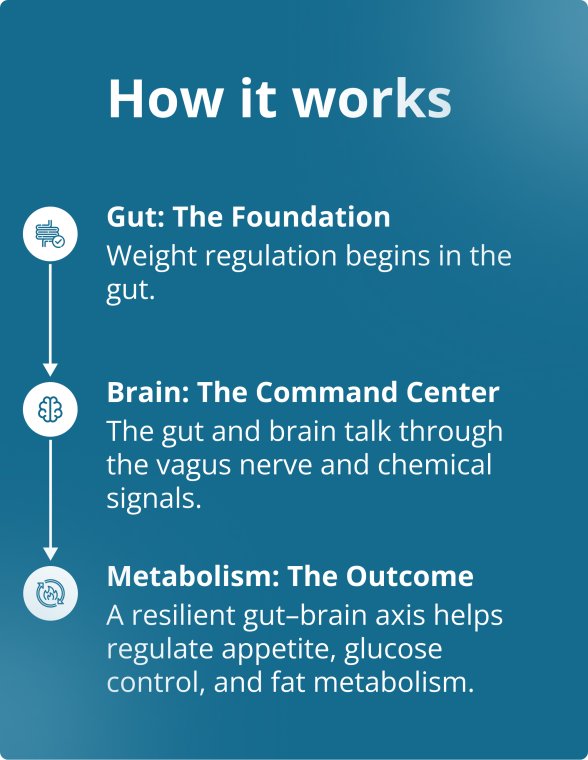 Content splash for the Metagenics Precision Weight & Hormone Balance for Men PracStack featuring three simple icons labeled gut, brain, and metabolism connected by arrows, with short explanations of how gut health influences brain signaling and metabolic outcomes.