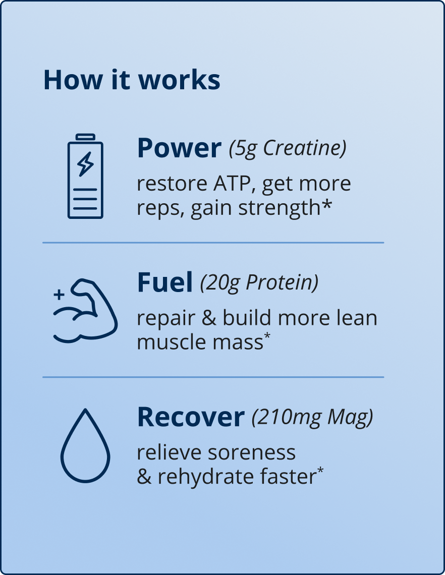 Muscle Gains Bundle - content splash 2