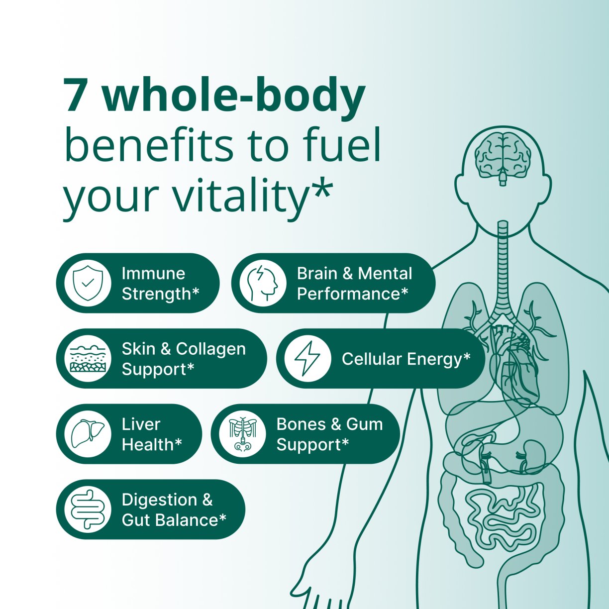 PhytoMulti® Superfoods 3