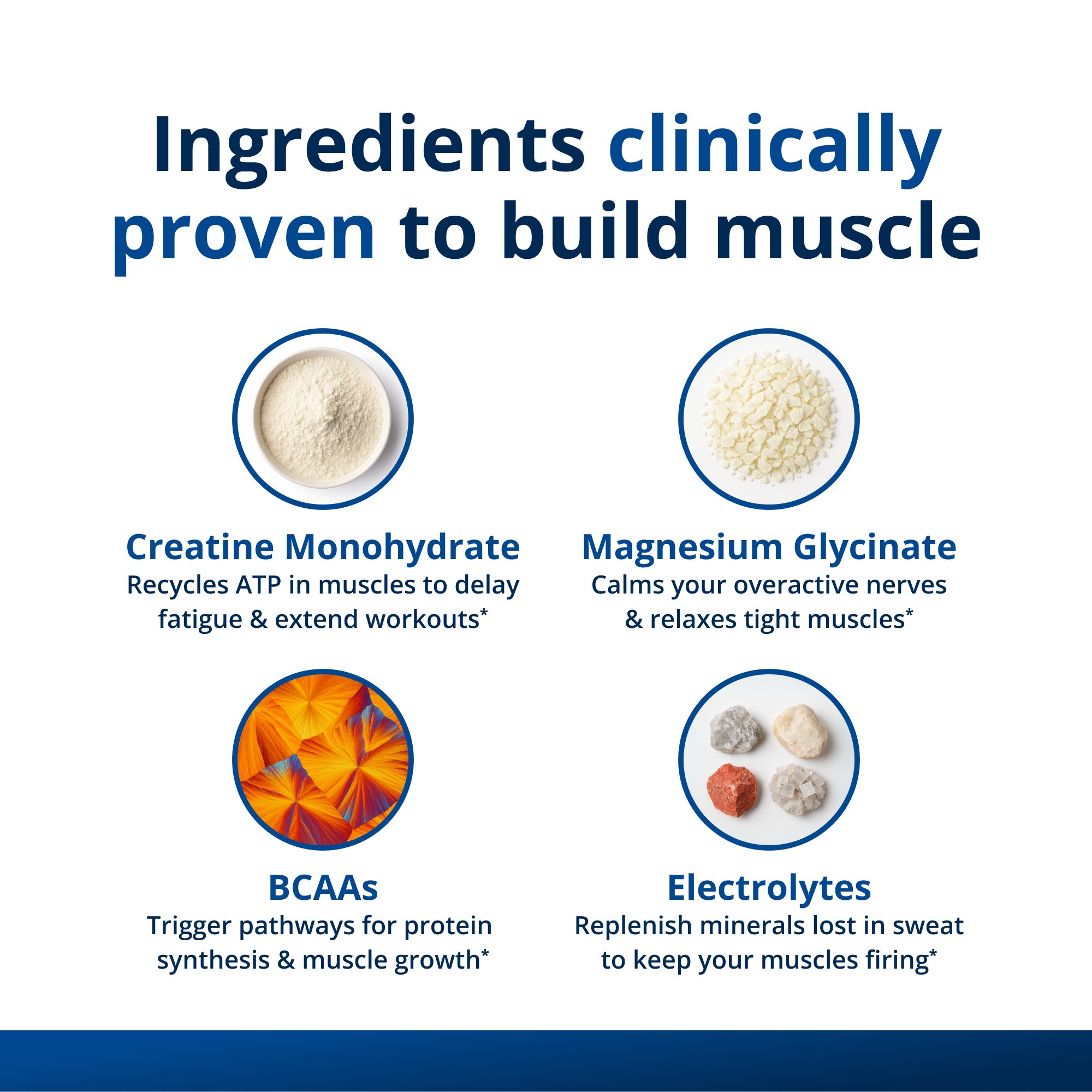 Muscle Gains Bundle 5