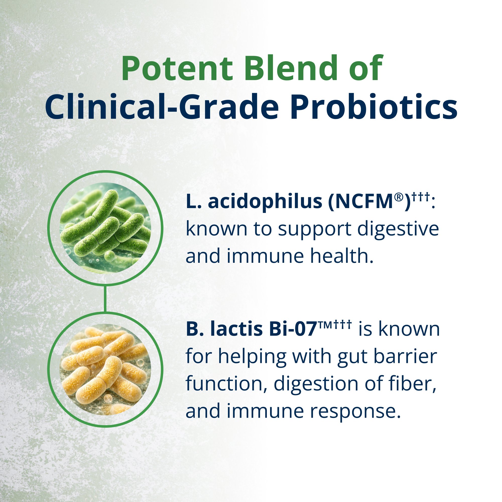 UltraFlora® Balance Probiotic 6