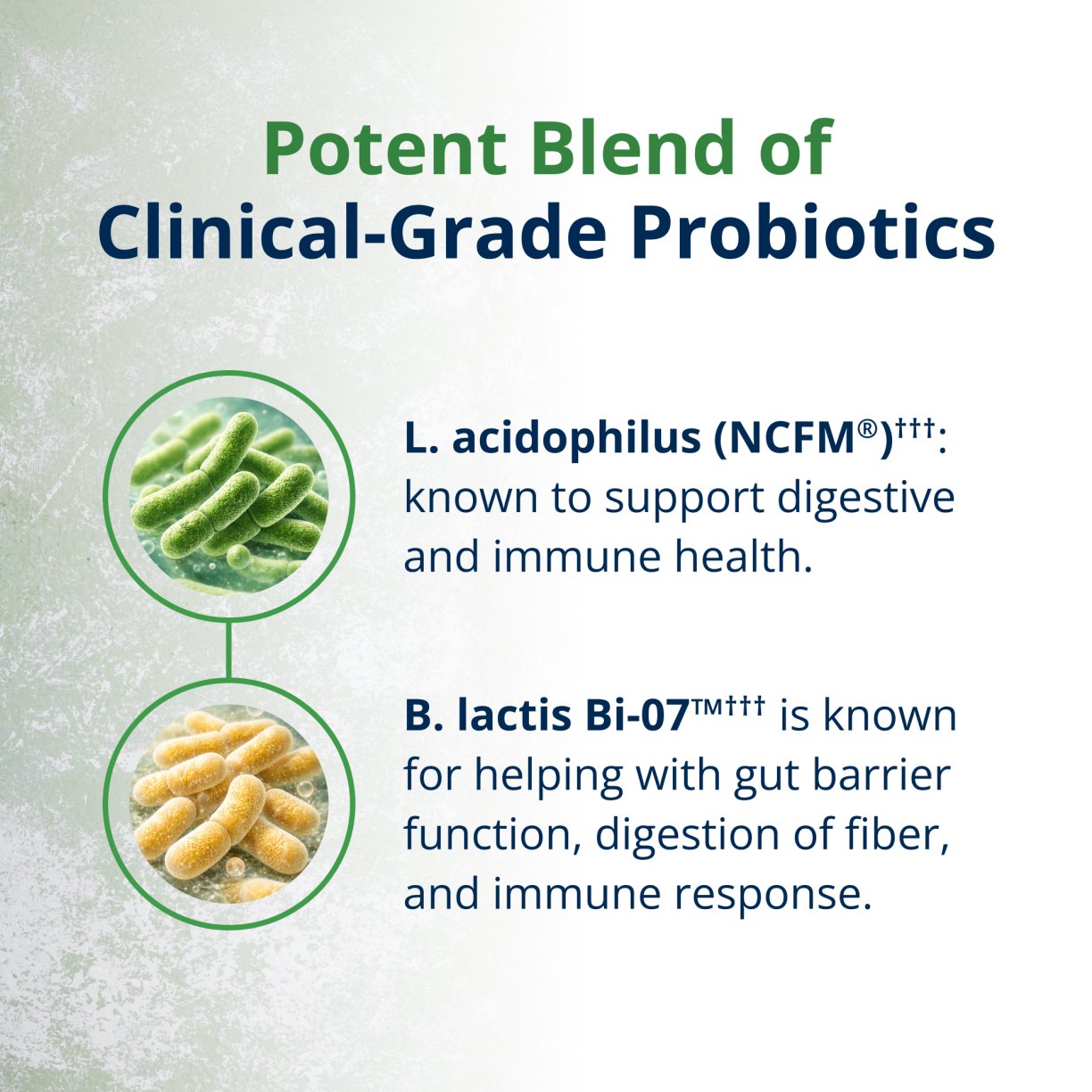 UltraFlora® Balance Probiotic 6