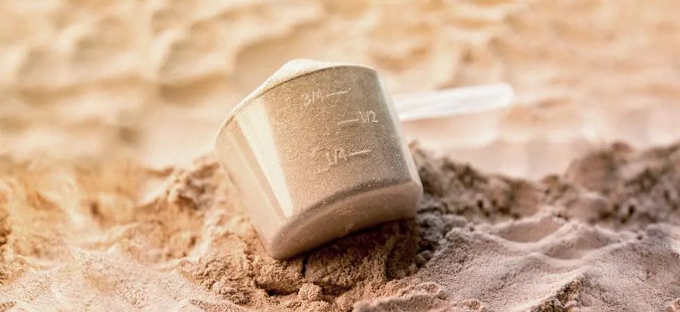Which Protein Supplement Best Fits My Needs?