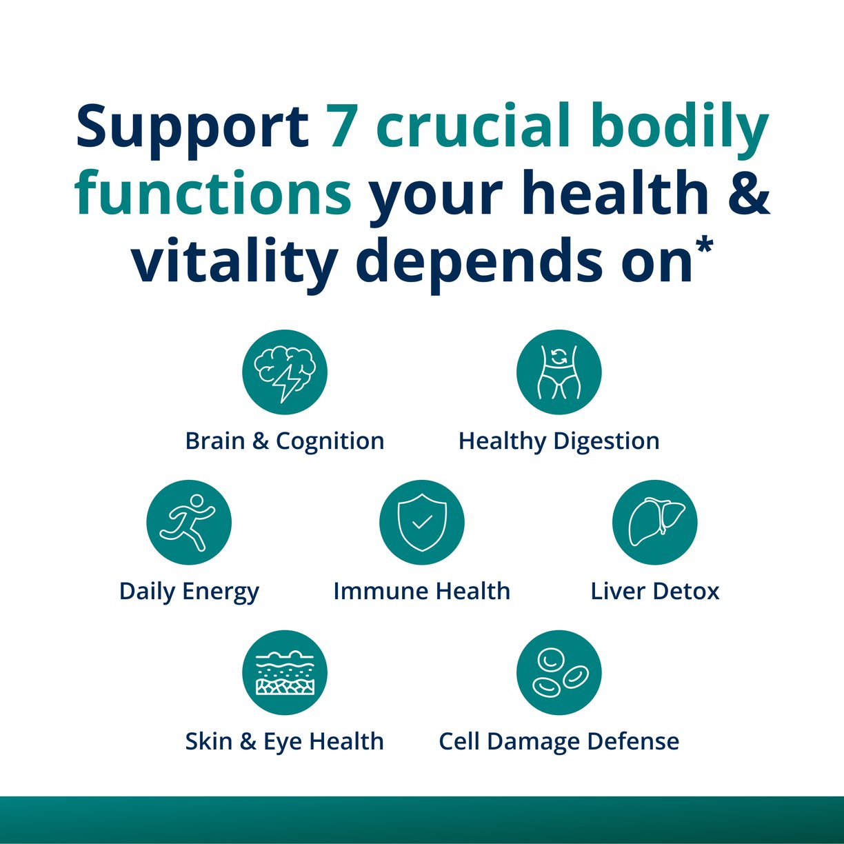 PhytoMulti® Multivitamin Capsules 3