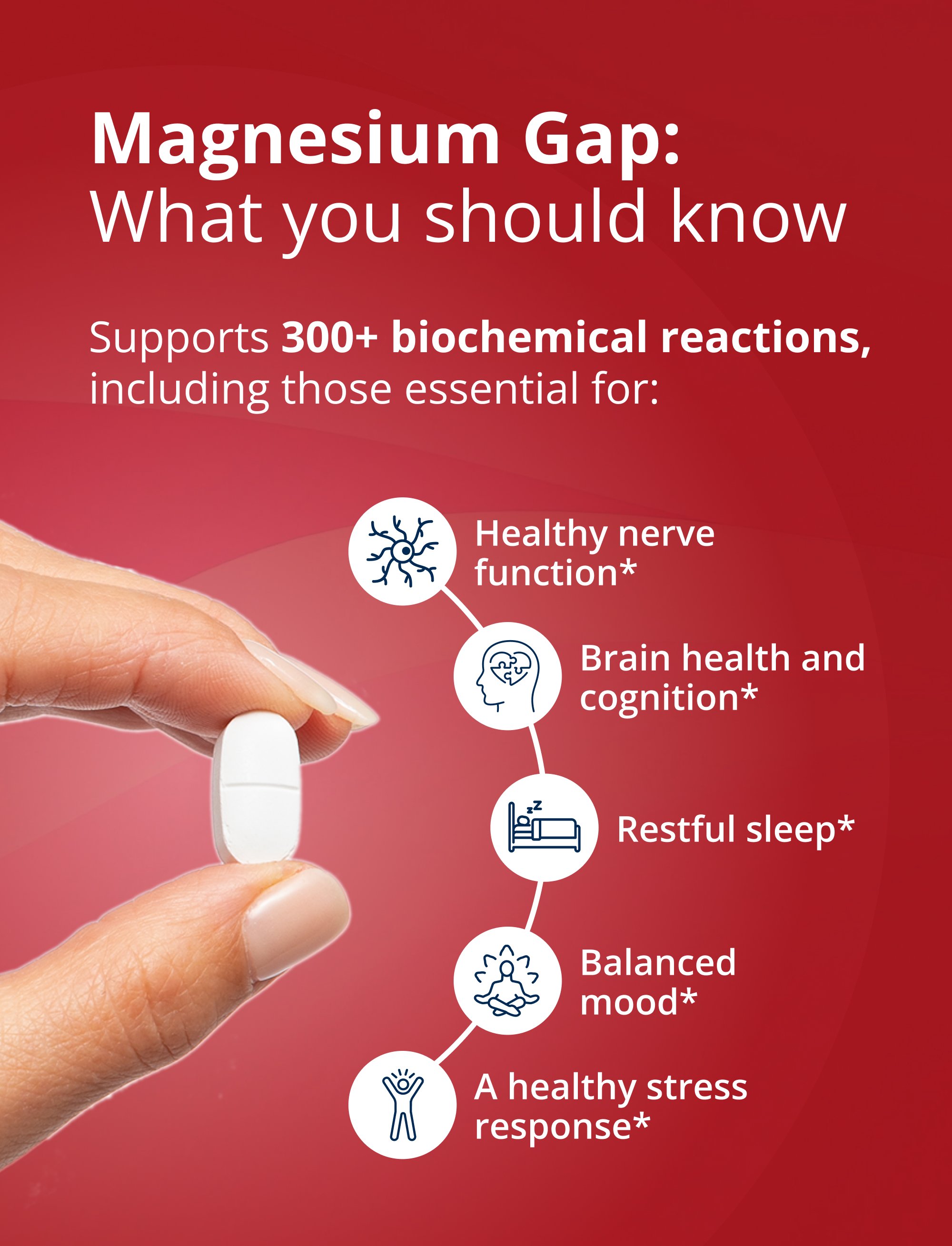 Metagenics Magnesium Glycinate informational graphic explaining the magnesium gap, with icons representing healthy nerve function, brain health and cognition, gut tissue support, balanced mood, and healthy stress response, supporting its role as a Highly absorbable magnesium supplement for muscle, nerve, sleep, & stress support.