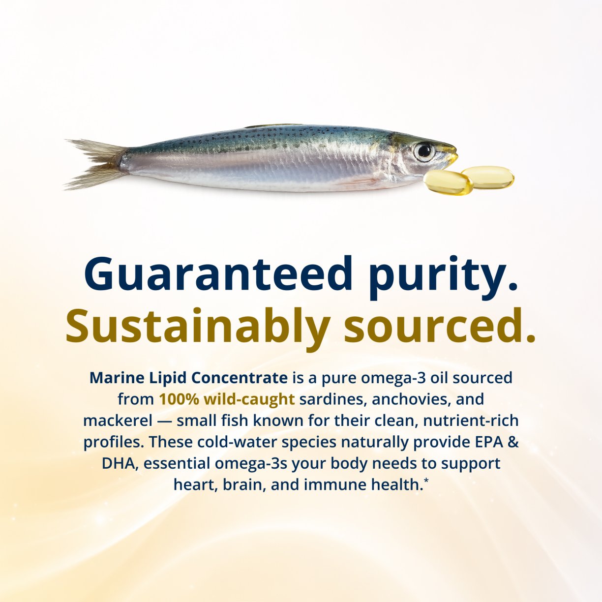 OmegaGenics® Fish Oil EPA-DHA 500 mg 5