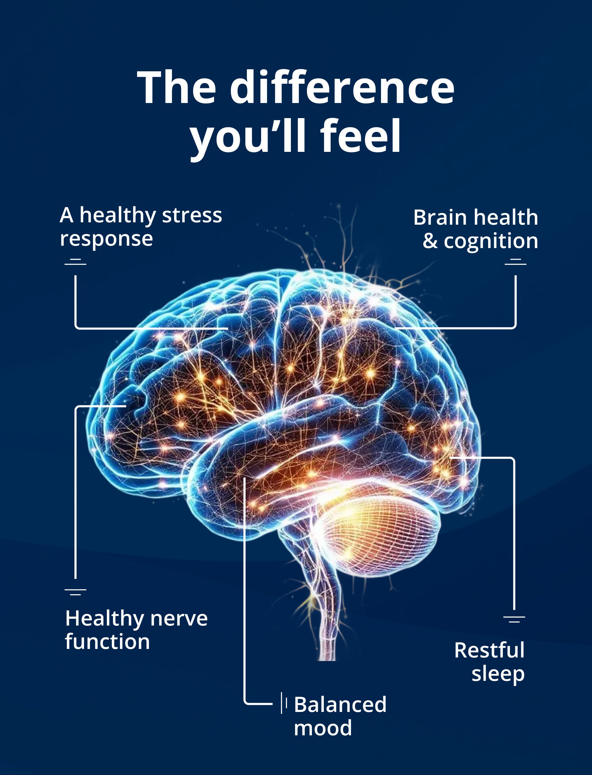 “The difference you’ll feel,” features a glowing brain illustration with callouts including a healthy stress response, brain health & cognition, healthy nerve function, balanced mood, and restful sleep.