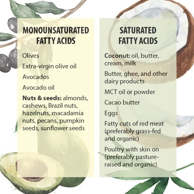 Two lists explaining sources for monounsaturated fatty acids and saturated fatty acids as discussed in the article