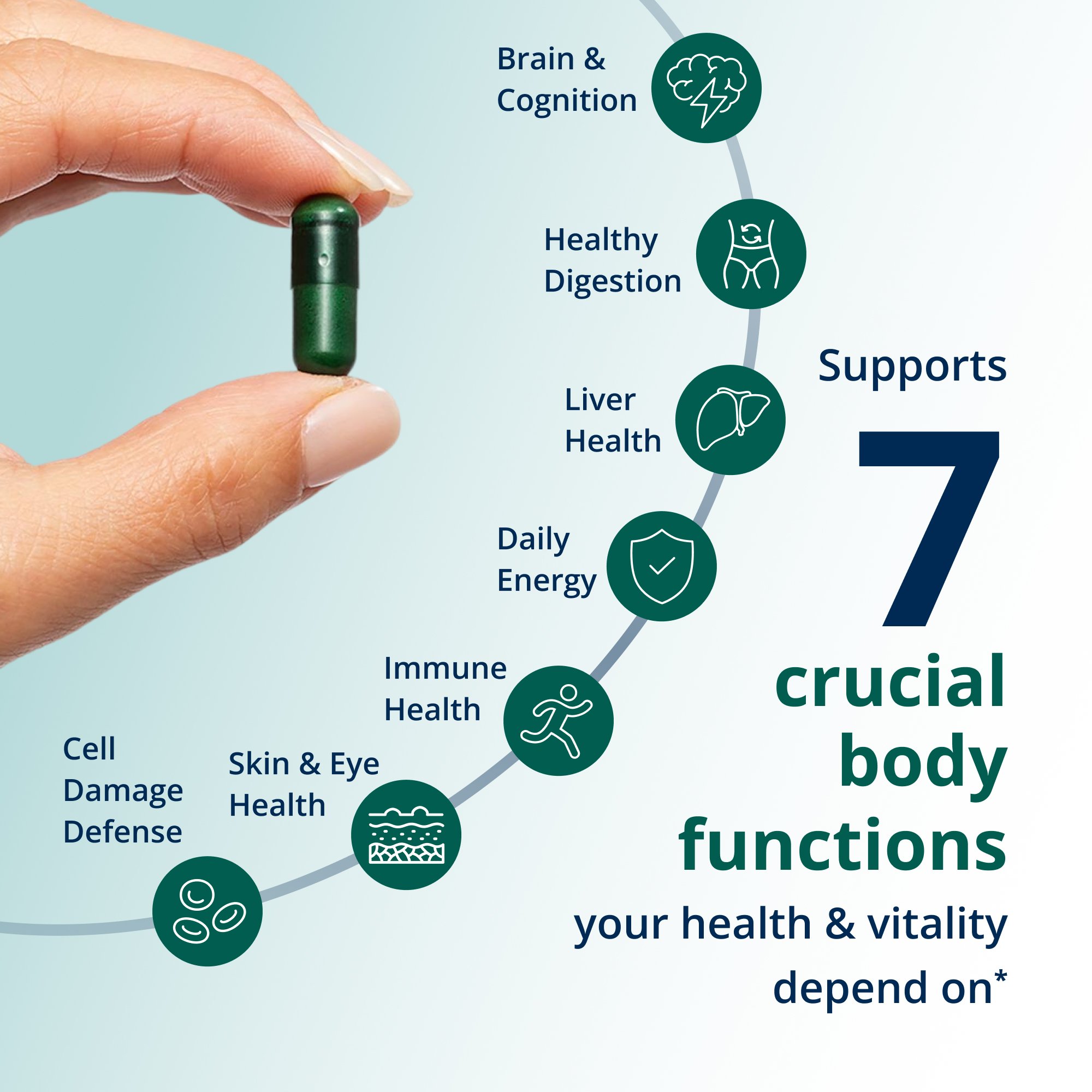 PhytoMulti® Multivitamin Capsules 3