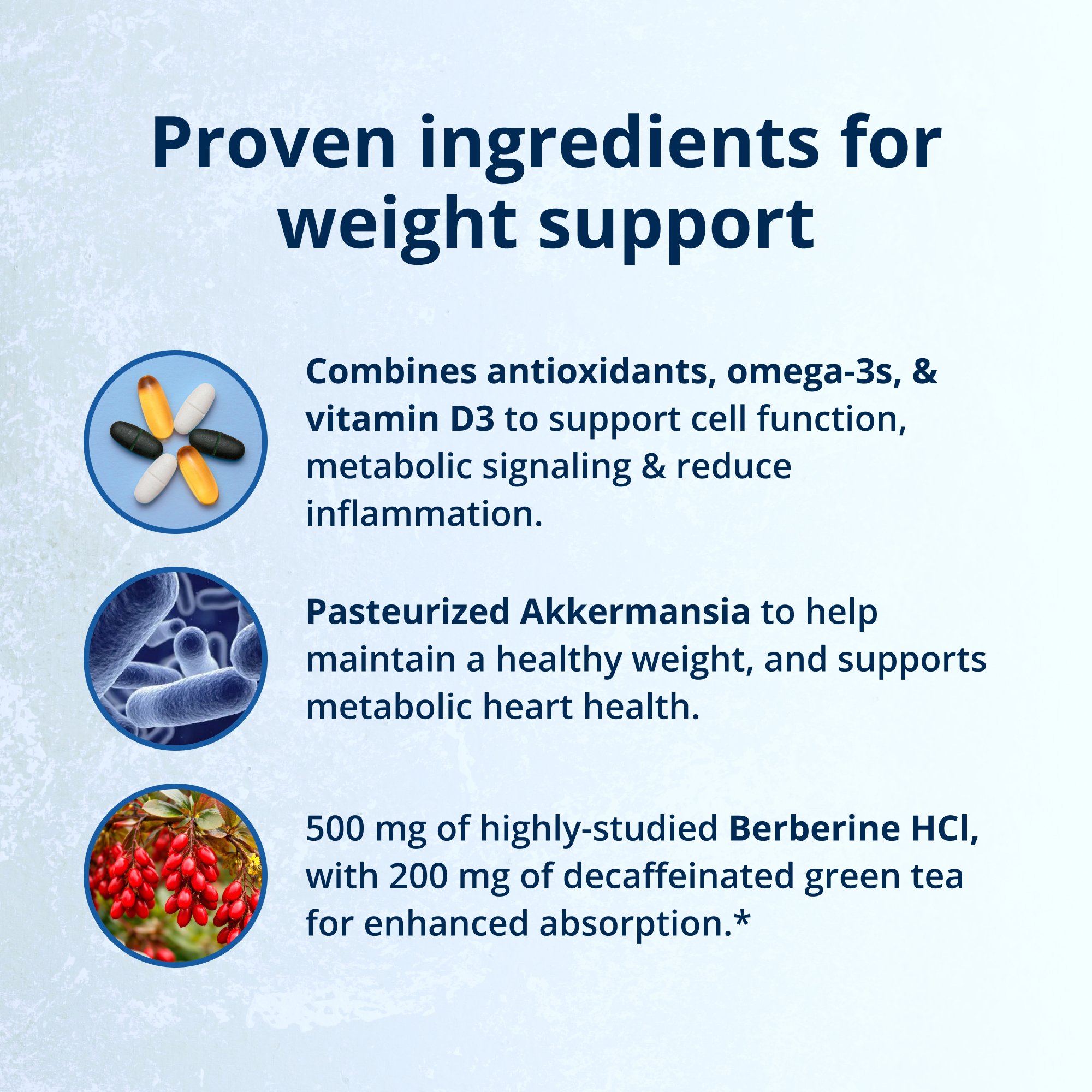 Precision Weight & Hormone Balance for Men by Dr. Bridget Briggs, MD 5