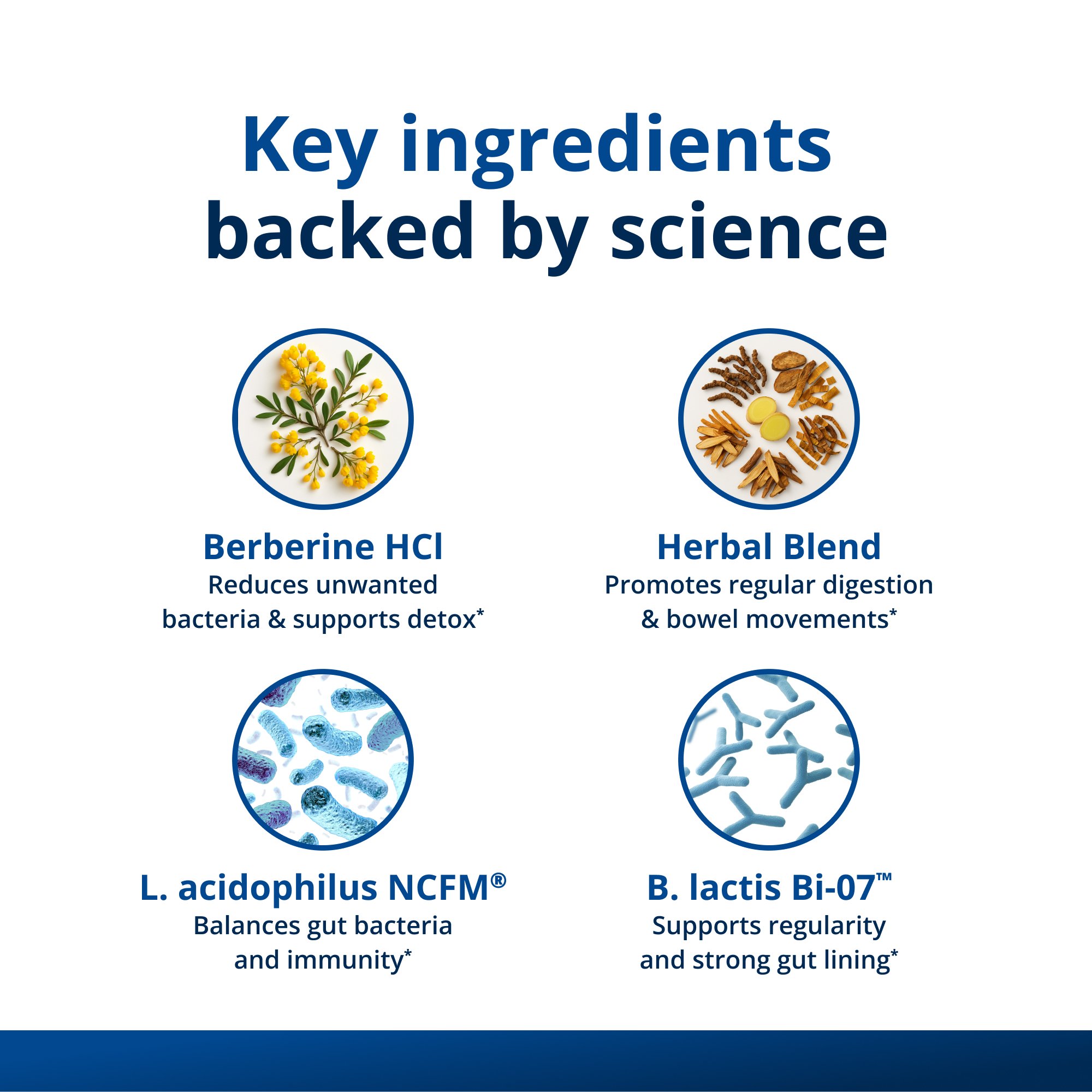 Daily Gut Health Bundle 5