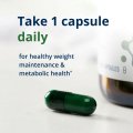 UltraFlora® Healthy Weight with Akkermansia 1
