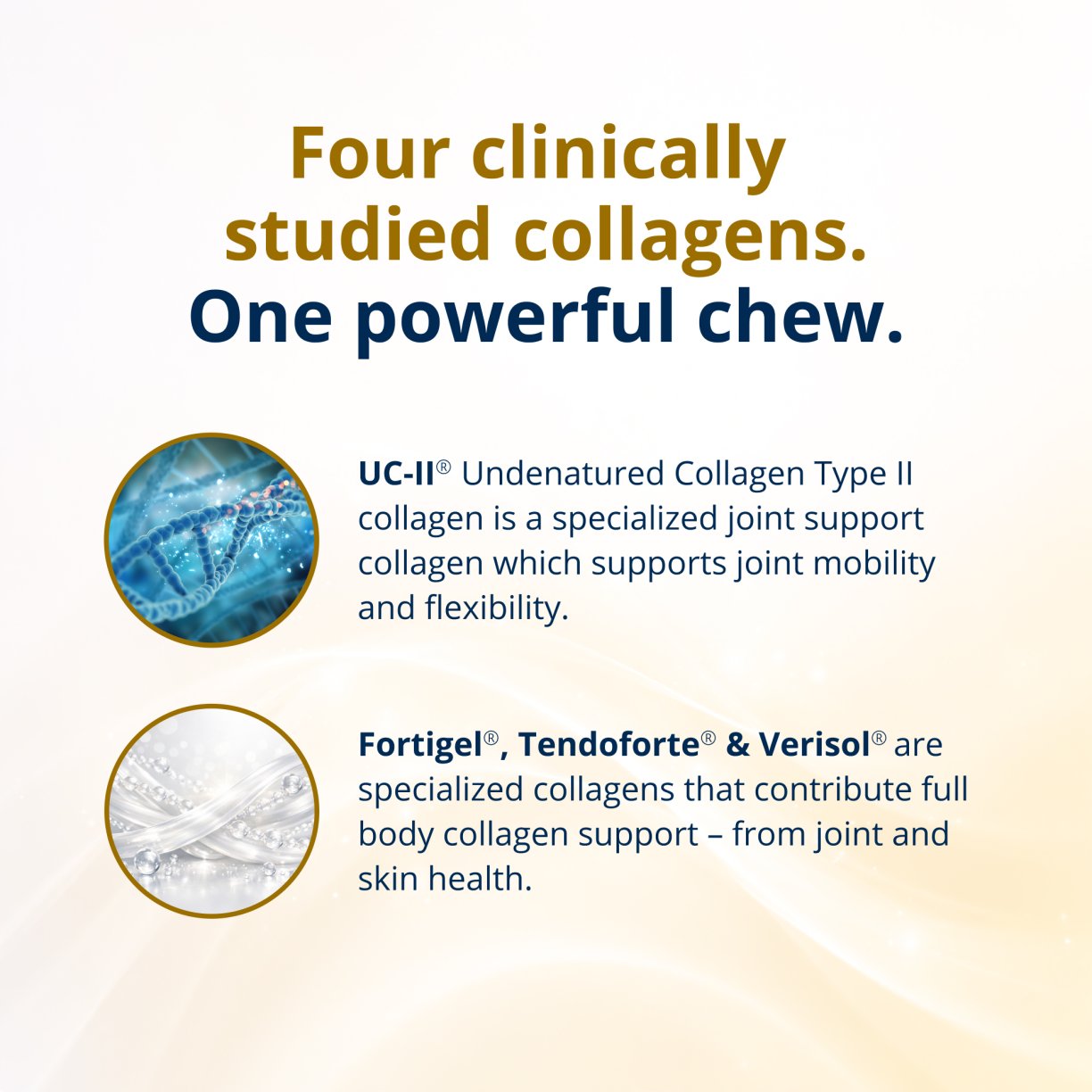 StayStrong+™ 4-in-1 Collagen Whole Body Chew 5