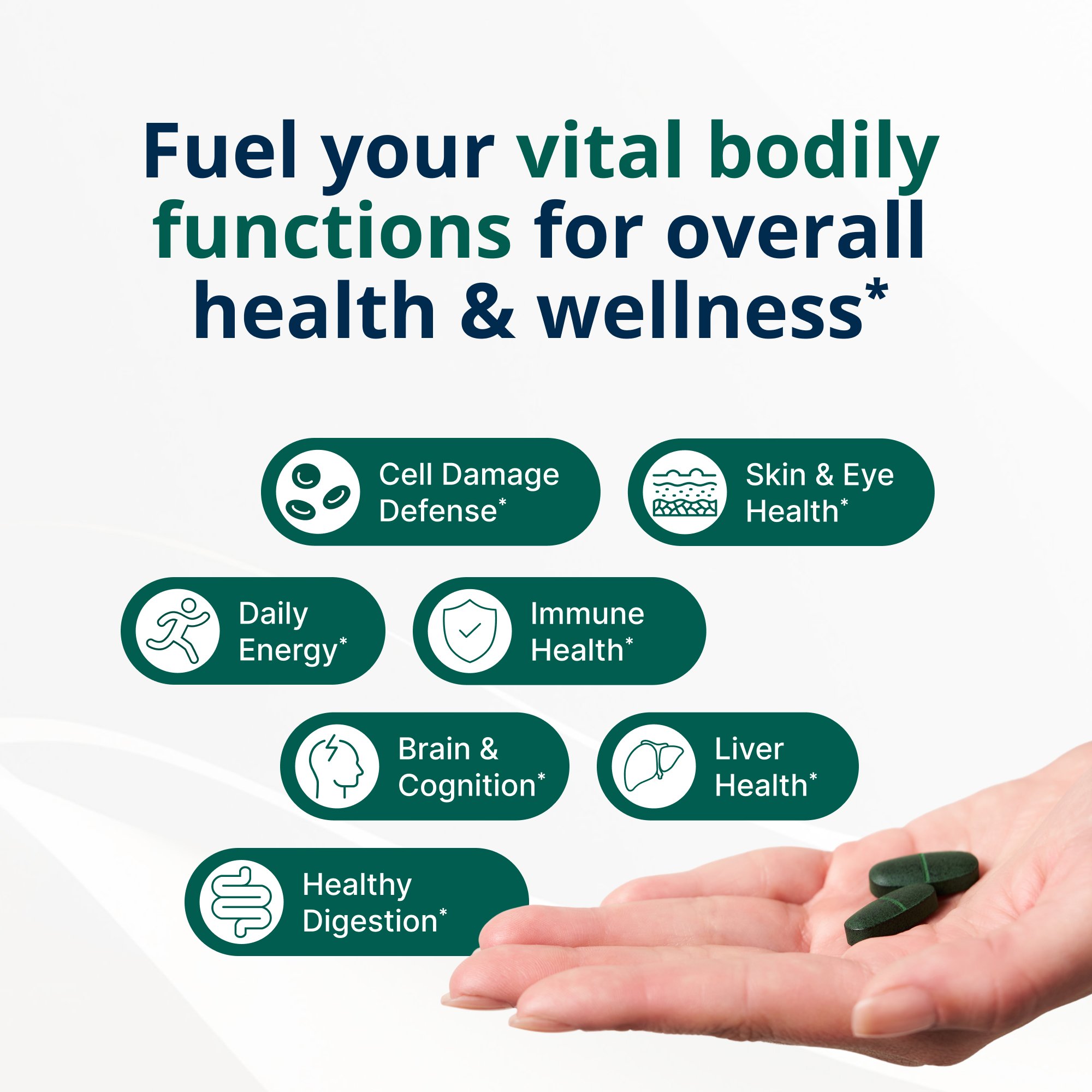 PhytoMulti® Multivitamin with Iron 3
