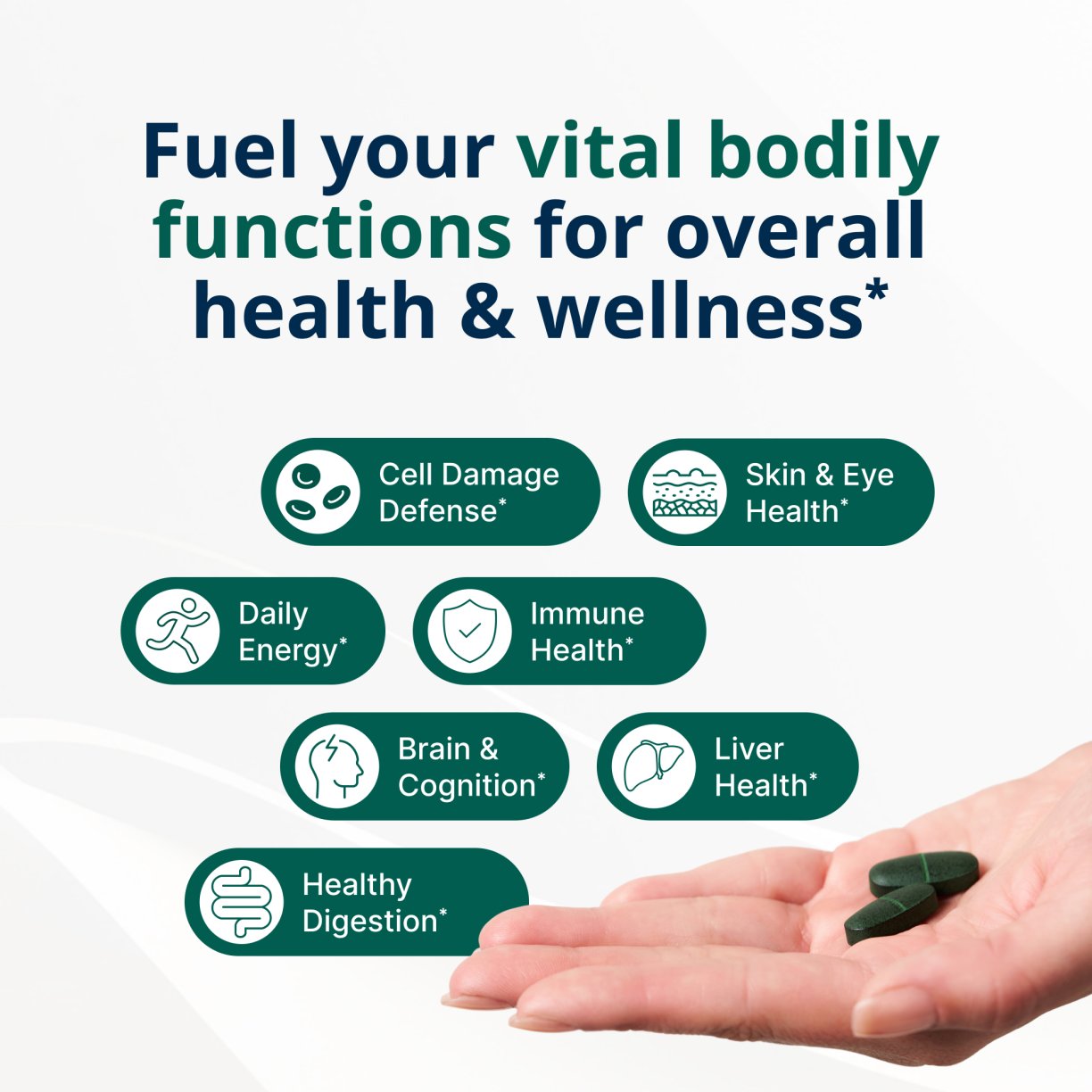 PhytoMulti® Multivitamin with Iron 3
