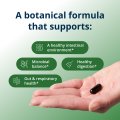 CandiBactin-AR® 3