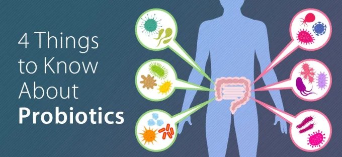Illustration of a human and their gut with microbial gut flora