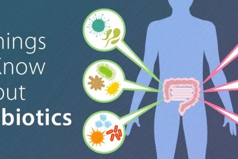 Illustration of a human and their gut with microbial gut flora