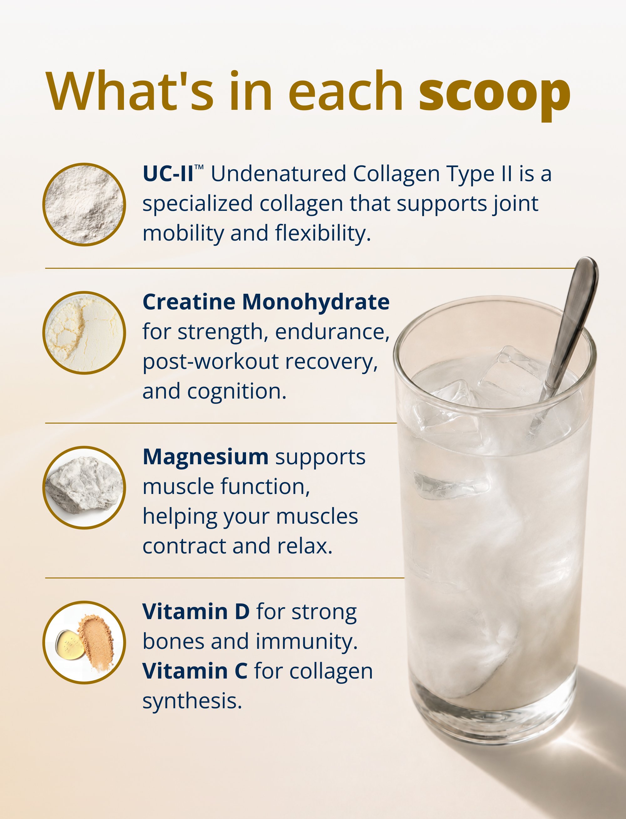 Text listing ingredients found in each scoop, including UC‑II® Undenatured Collagen Type II for joint mobility and flexibility, creatine monohydrate for strength and recovery, magnesium for muscle function and relaxation, and vitamins D and C for bone and collagen support.