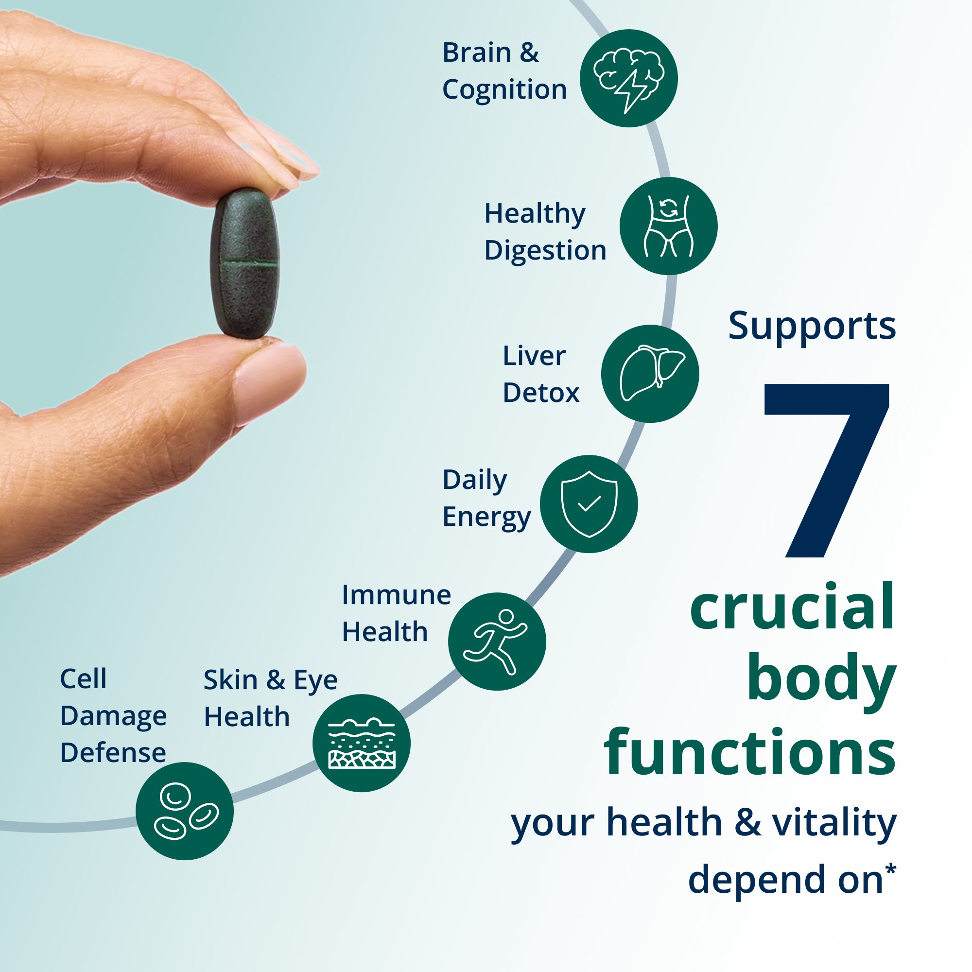 PhytoMulti® Multivitamin 3