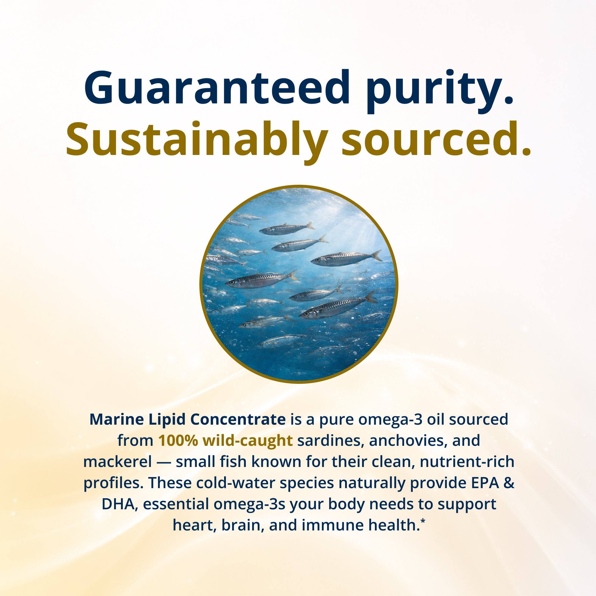 OmegaGenics® Fish Oil EPA-DHA 2400 mg Liquid 5