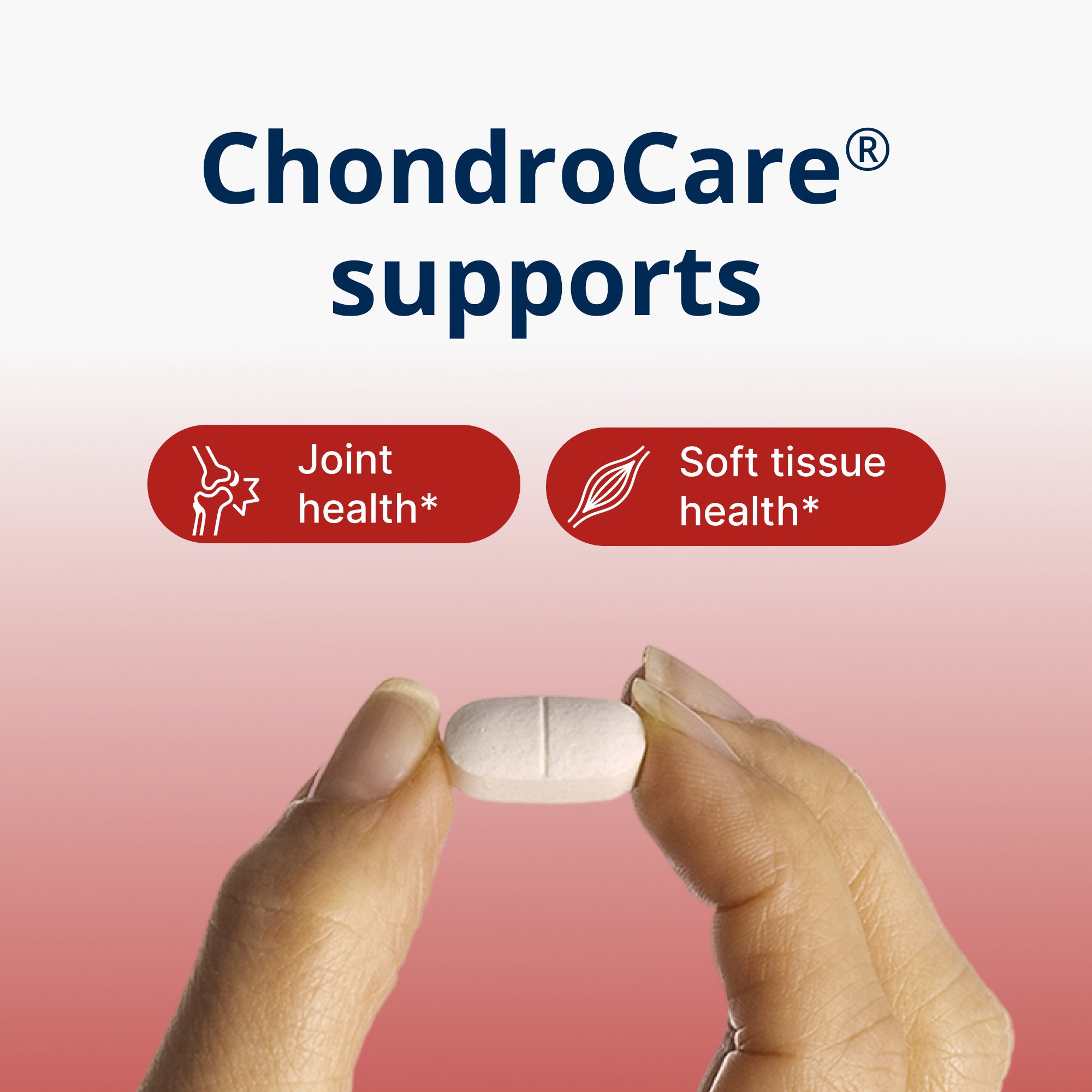 ChondroCare® 2