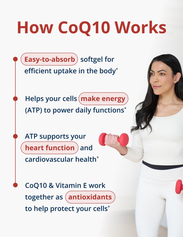 Section titled ‘How CoQ10 Works’ with a body outline graphic highlighting the heart and muscles next to bullet points describing absorption, energy production, and antioxidant roles.