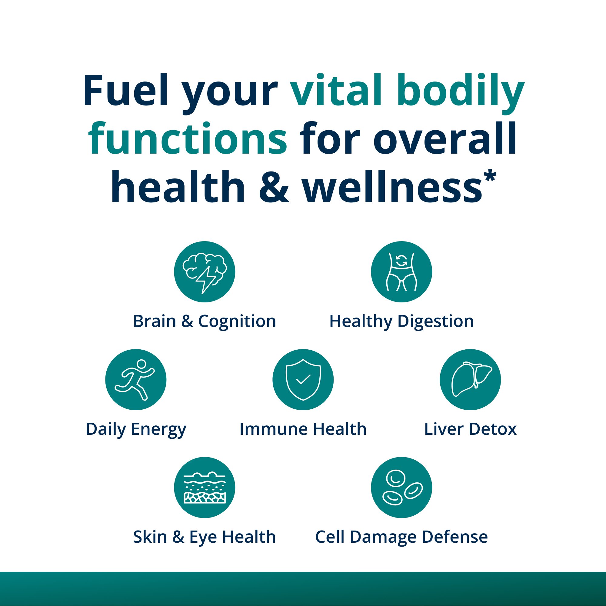 PhytoMulti® Multivitamin with Iron 3