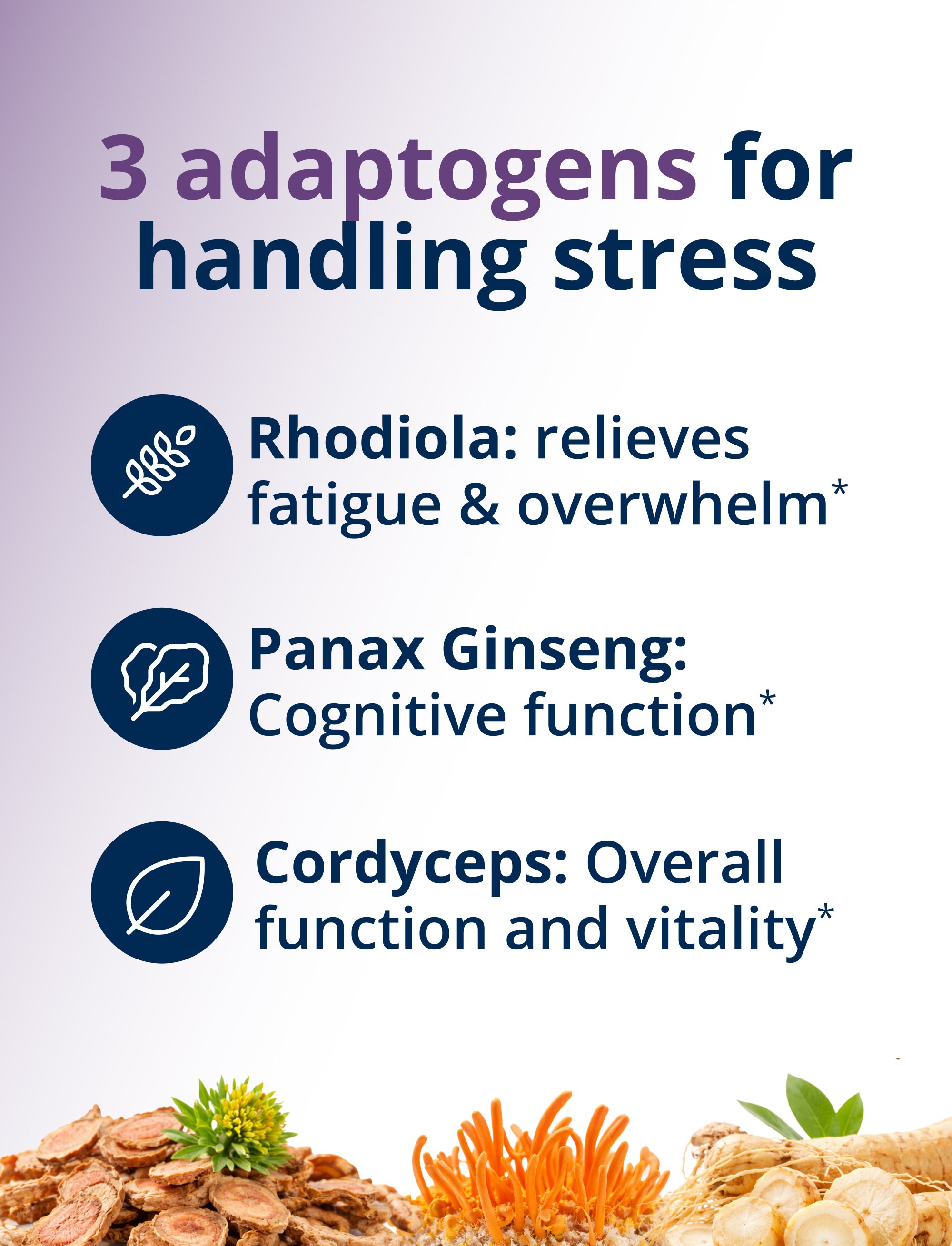 A layout showing three ingredient images with on‑image text that reads “3 adaptogens for handling stress,” followed by “Rhodiola: relieves fatigue & overwhelm,” “Panax Ginseng: Cognitive function,” and “Cordyceps: Overall function and vitality*.”