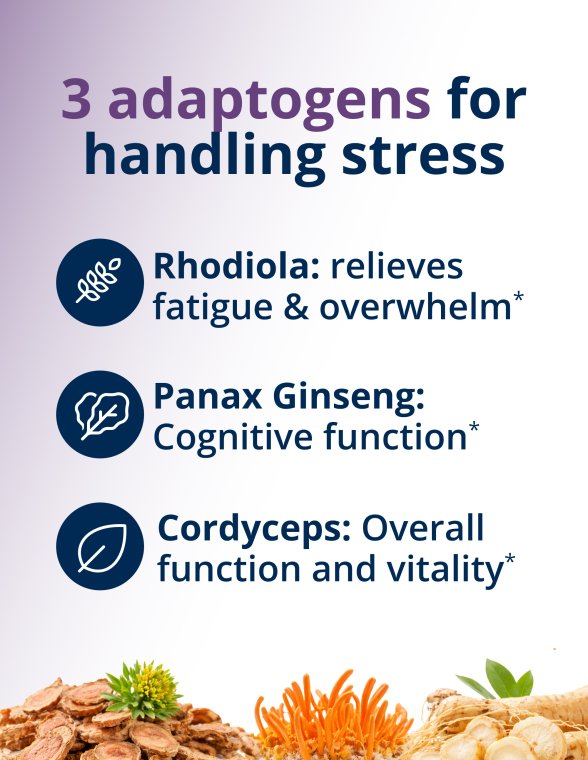 A layout showing three ingredient images with on‑image text that reads “3 adaptogens for handling stress,” followed by “Rhodiola: relieves fatigue & overwhelm,” “Panax Ginseng: Cognitive function,” and “Cordyceps: Overall function and vitality*.”