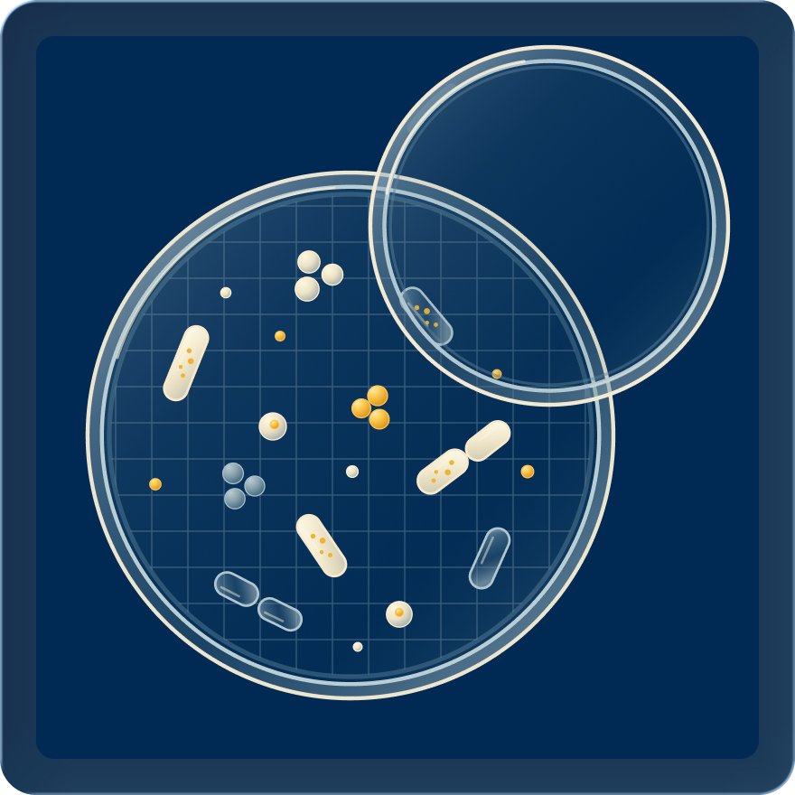 Illustration of a petri dish containing microorganisms, representing screening for microbial contaminants to support product safety and stability.