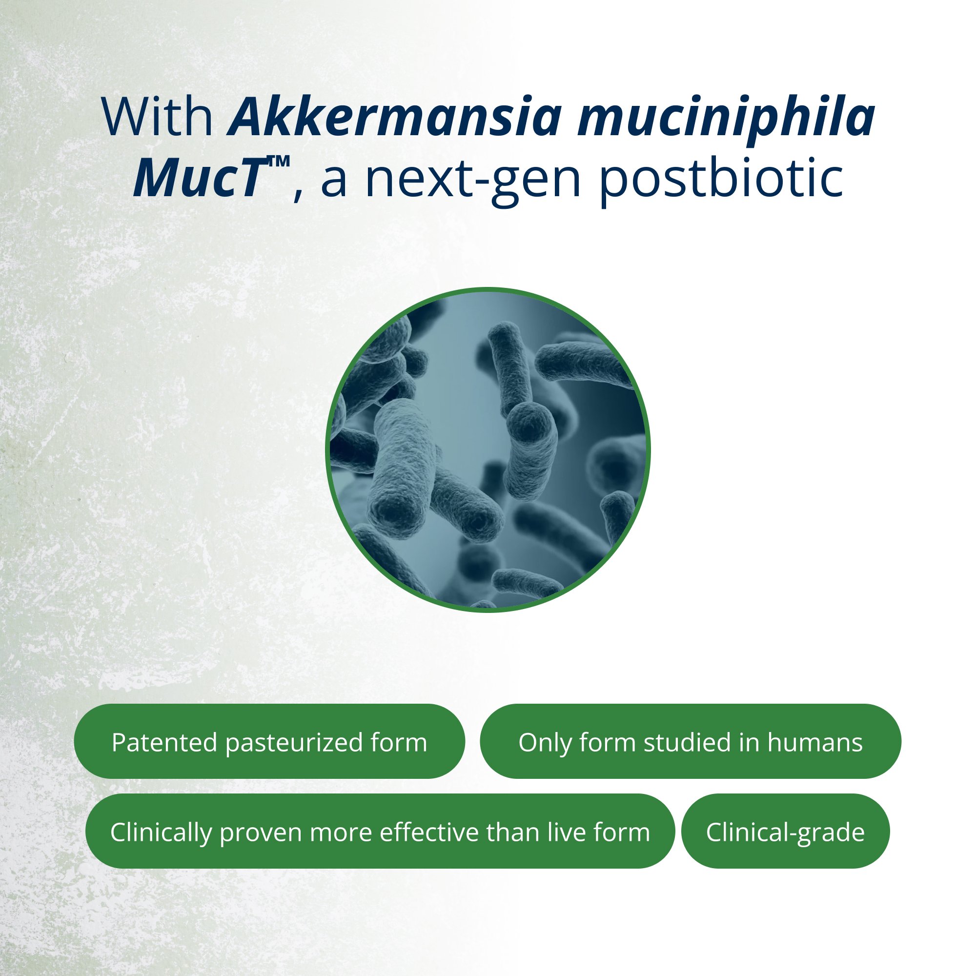 UltraFlora® Triplebiotic with Akkermansia 5