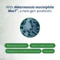 UltraFlora® Triplebiotic with Akkermansia 5