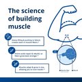Muscle Gains Bundle 3