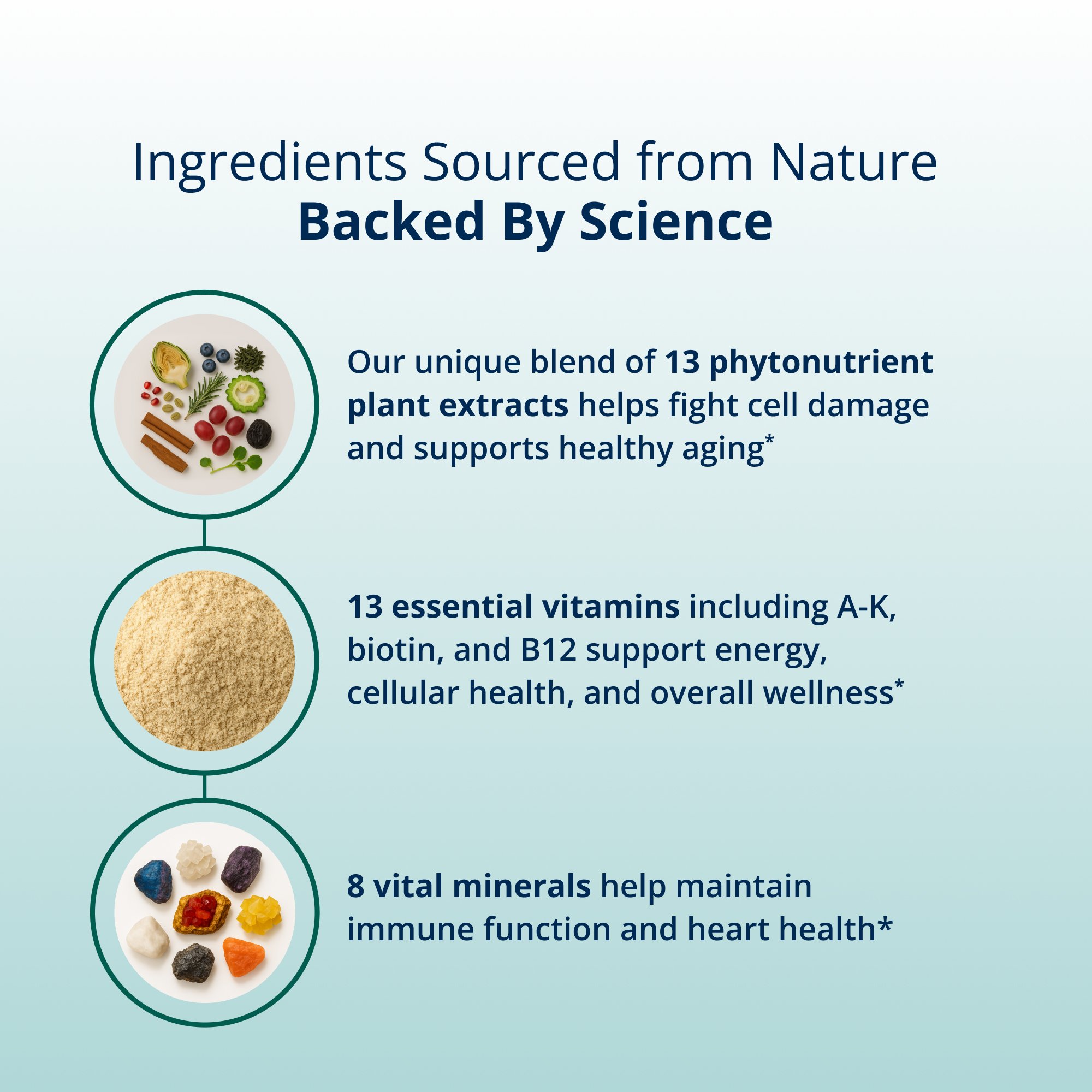 PhytoMulti® Multivitamin 5