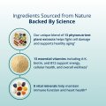 PhytoMulti® Multivitamin 5