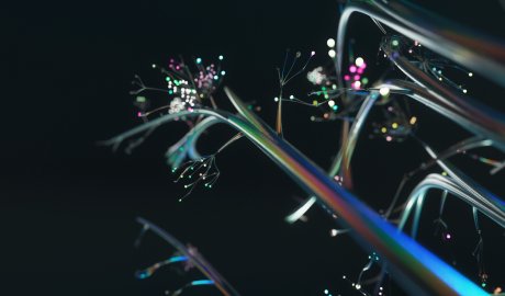 Customer Experience – AI-Driven customer experience & service Thumbnail