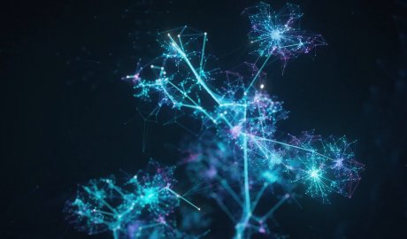 Strategy - Growth Strategy & Digital Business Models Thumbnail